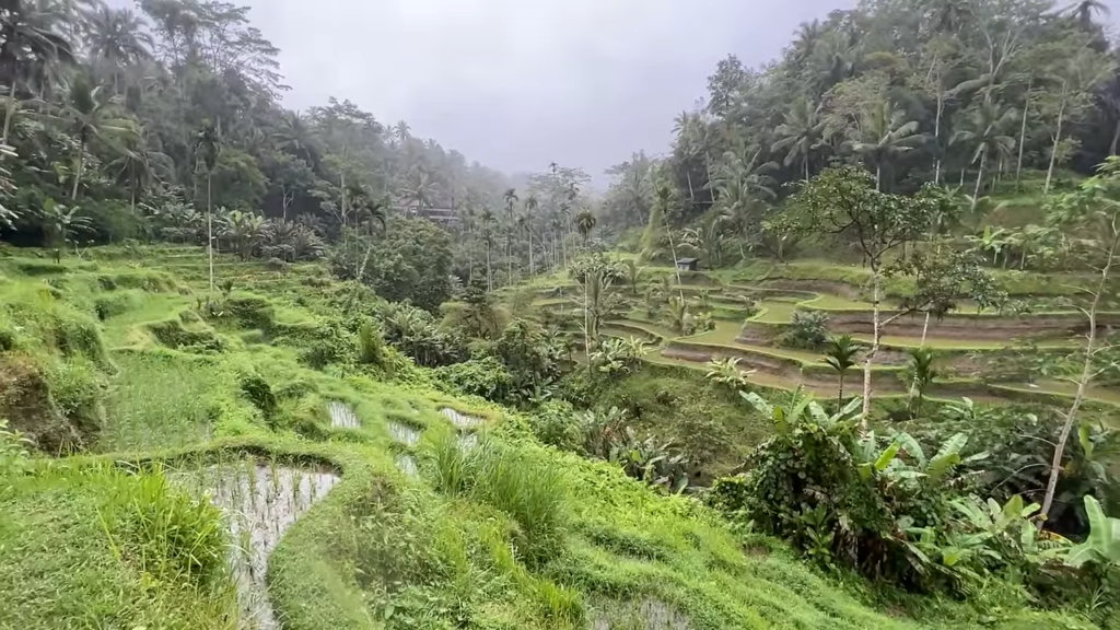 Ubud Bali