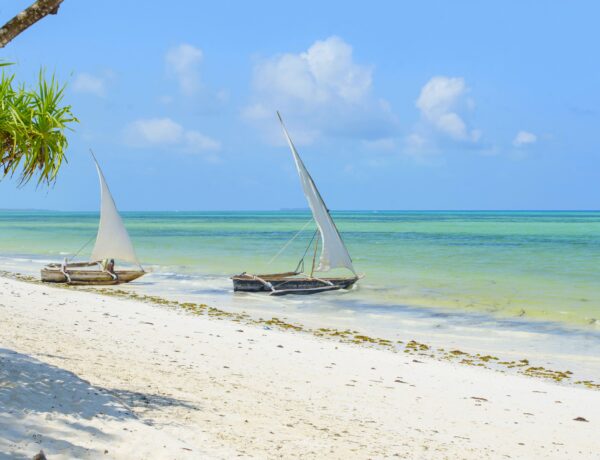 Que faire à Zanzibar ?