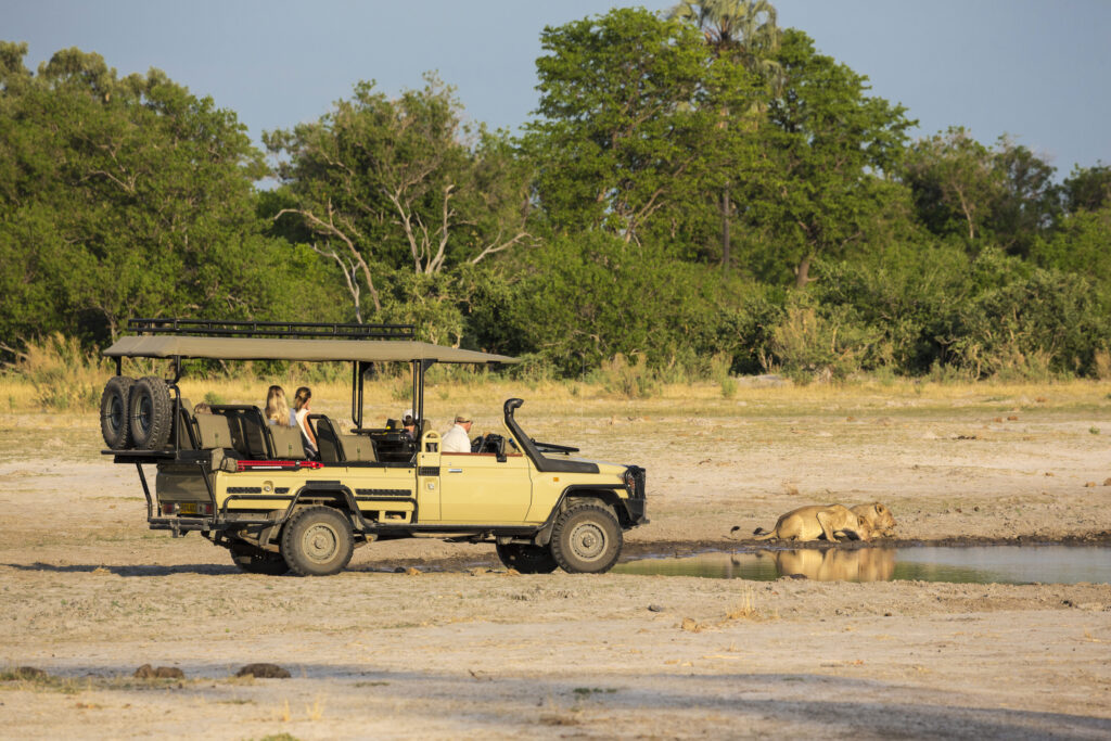 Un véhicule de safari et ses passagers